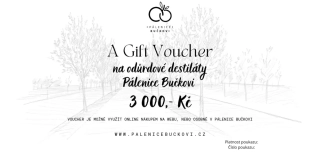 Gift voucher v hodnotě 3 000,- Kč 