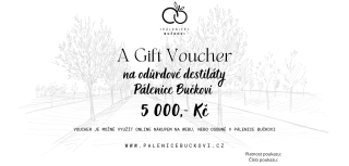 Gift voucher v hodnotě 5 000,- Kč 